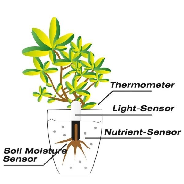 Monitor inteligente de flora HHCC para el cuidado del jardín, plantas, césped, suelo, agua, fertilidad, sensor detector de jardinería para Xiaomi Mijia - Image 4