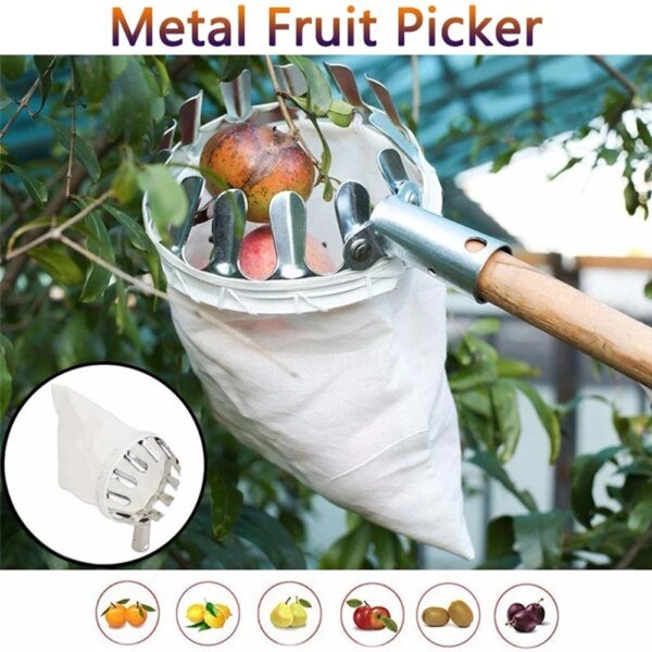 Cabezal recolector de frutas para huerto, manzanas, peras, naranjas, árboles altos, bolsa para recoger frutas, recolector de frutas de granja desmontable - Image 5