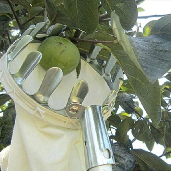 Cabezal recolector de frutas para huerto, manzanas, peras, naranjas, árboles altos, bolsa para recoger frutas, recolector de frutas de granja desmontable - Image 4