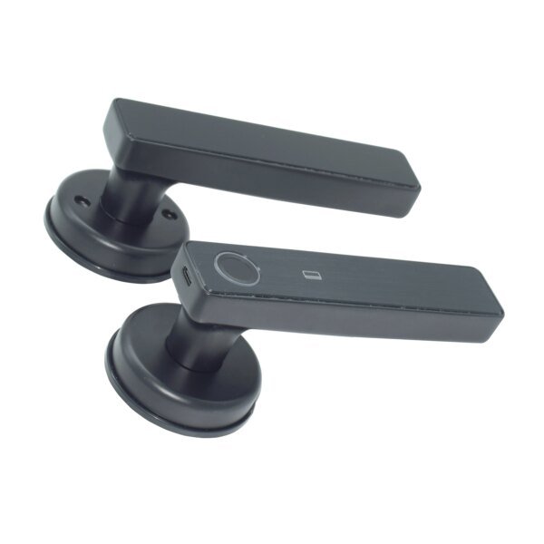 Cerradura inteligente con huella dactilar, contraseña, RFID, tarjeta IC, cerrojo de seguridad para puerta de madera y metal, con aplicación Tuya SmartLife y control remoto por WiFi - Image 6