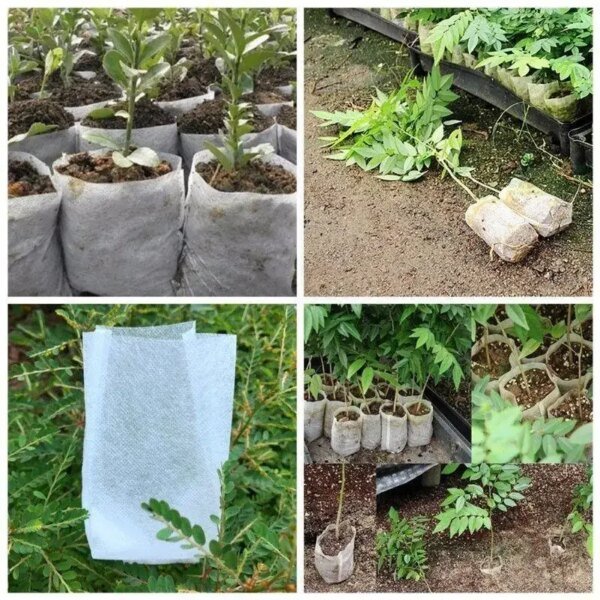 Bolsas de cultivo biodegradables de 25 a 100 cps para plantas, bolsas de vivero de tela no tejida, semillas para sembrar macetas, accesorios para el jardín del hogar y herramientas. - Image 4